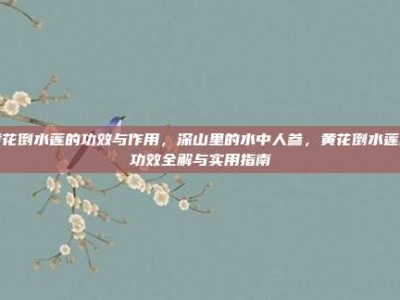 黄花倒水莲的功效与作用，深山里的水中人参，黄花倒水莲的功效全解与实用指南