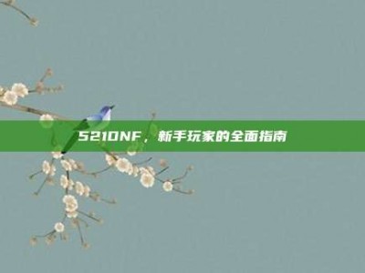 521DNF，新手玩家的全面指南