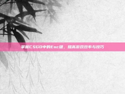 掌握CSGO中的Esc键，提高游戏效率与技巧