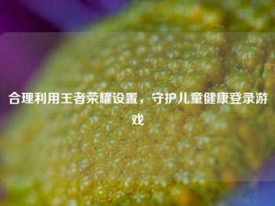 合理利用王者荣耀设置，守护儿童健康登录游戏