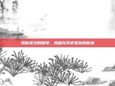 揭秘老沙的暗号，隐藏在历史深处的秘密