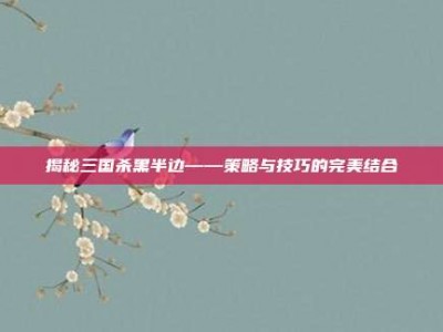 揭秘三国杀黑半边——策略与技巧的完美结合