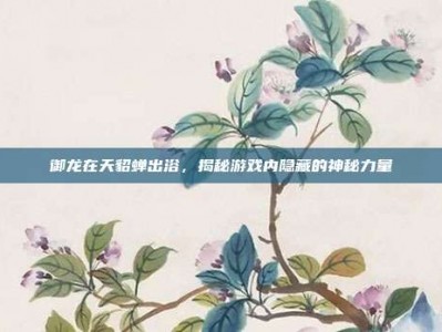 御龙在天貂蝉出浴，揭秘游戏内隐藏的神秘力量