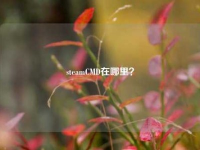 steamCMD在哪里？
