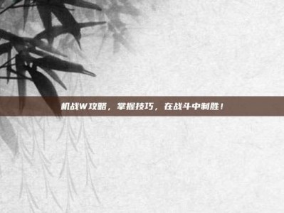 机战W攻略，掌握技巧，在战斗中制胜！