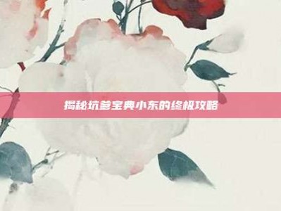 揭秘坑爹宝典小东的终极攻略