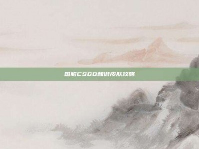国服CSGO和谐皮肤攻略