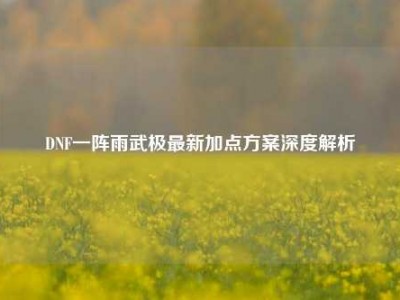 DNF一阵雨武极最新加点方案深度解析