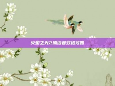 火炬之光2漂泊者双枪攻略