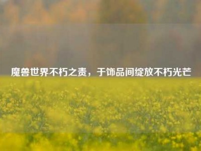 魔兽世界不朽之责，于饰品间绽放不朽光芒