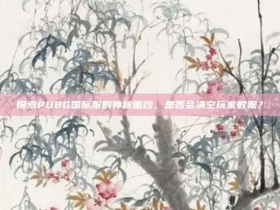 探索PUBG国际服的神秘面纱，是否会清空玩家数据？