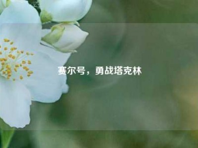 赛尔号，勇战塔克林