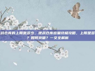 逆战仓库的上限是多少，逆战仓库容量终极攻略，上限是多少？如何突破？一文全解析