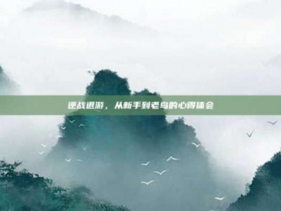 逆战退游，从新手到老鸟的心得体会