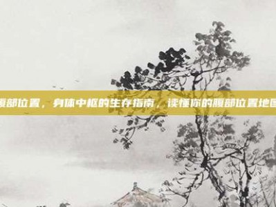 腹部位置，身体中枢的生存指南，读懂你的腹部位置地图