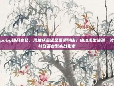 pubg哈利套装，落地成盒还是巫师附体？绝地求生哈利·波特联名套装实战指南