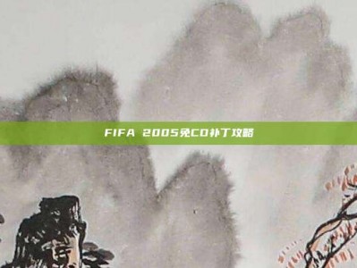 FIFA 2005免CD补丁攻略
