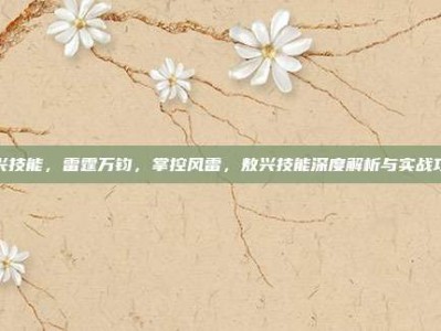 敖兴技能，雷霆万钧，掌控风雷，敖兴技能深度解析与实战攻略