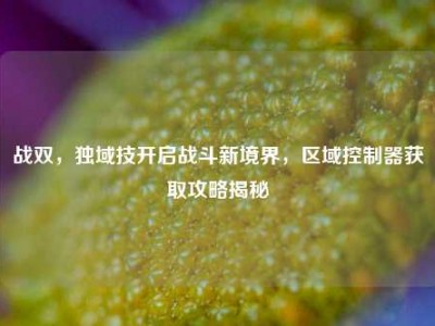 战双，独域技开启战斗新境界，区域控制器获取攻略揭秘