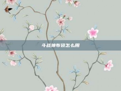 斗战神布袋怎么用