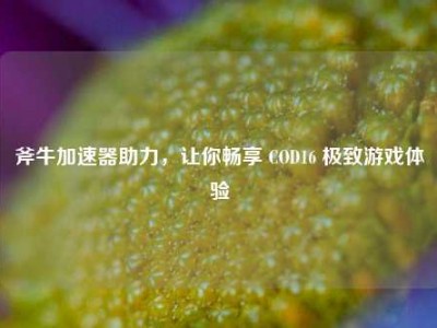 斧牛加速器助力，让你畅享 COD16 极致游戏体验