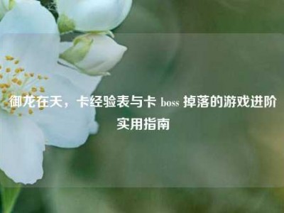 御龙在天，卡经验表与卡 boss 掉落的游戏进阶实用指南