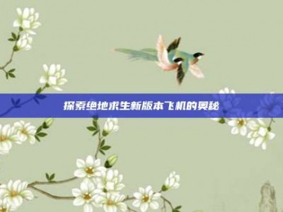探索绝地求生新版本飞机的奥秘