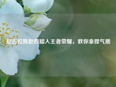 尼古拉斯赵四踏入王者荣耀，教你拿捏气质