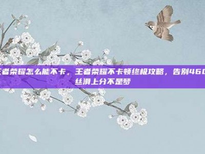 王者荣耀怎么能不卡，王者荣耀不卡顿终极攻略，告别460，丝滑上分不是梦