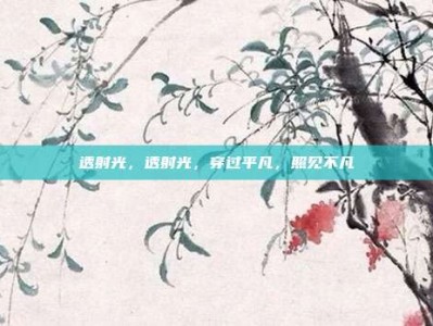 透射光，透射光，穿过平凡，照见不凡