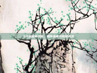 S3选拔赛攻略，如何准备并脱颖而出