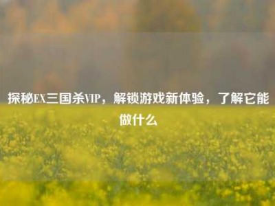 探秘EX三国杀VIP，解锁游戏新体验，了解它能做什么