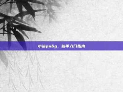 小柒pubg，新手入门指南