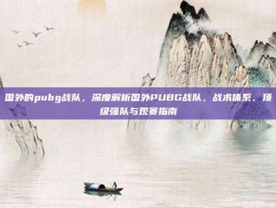 国外的pubg战队，深度解析国外PUBG战队，战术体系、顶级强队与观赛指南