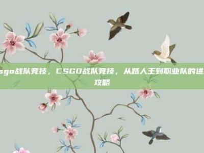 csgo战队竞技，CSGO战队竞技，从路人王到职业队的进阶攻略