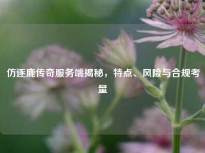 仿逐鹿传奇服务端揭秘，特点、风险与合规考量