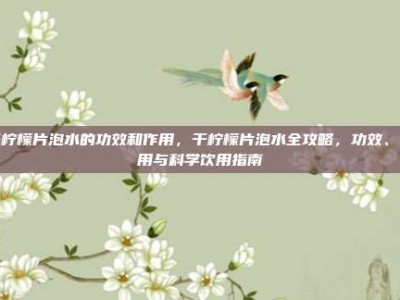 干柠檬片泡水的功效和作用，干柠檬片泡水全攻略，功效、作用与科学饮用指南
