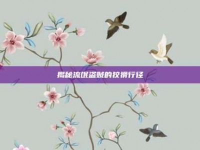 揭秘流氓盗贼的狡猾行径