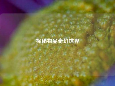 探秘物品奇幻世界