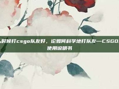 什么时候打csgo队友好，论如何科学地打队友—CSGO队友使用说明书