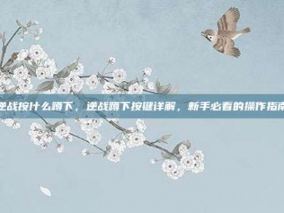 逆战按什么蹲下，逆战蹲下按键详解，新手必看的操作指南