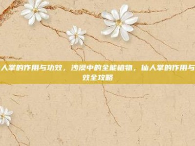 仙人掌的作用与功效，沙漠中的全能植物，仙人掌的作用与功效全攻略