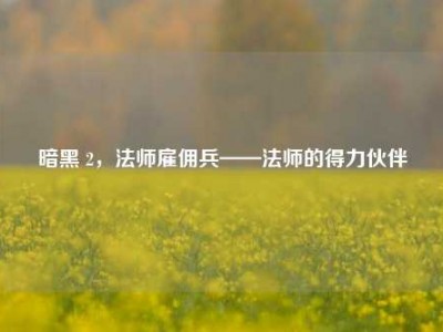 暗黑 2，法师雇佣兵——法师的得力伙伴