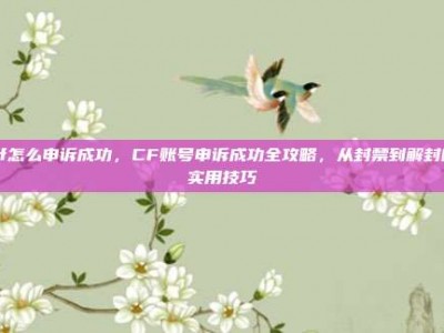 cf怎么申诉成功，CF账号申诉成功全攻略，从封禁到解封的实用技巧