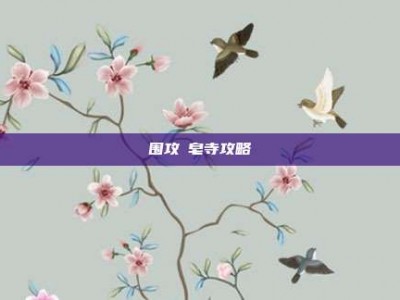 围攻砮皂寺攻略