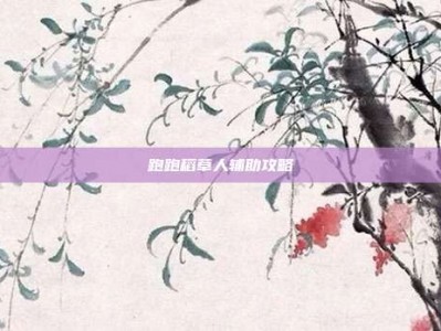 跑跑稻草人辅助攻略