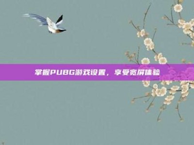 掌握PUBG游戏设置，享受宽屏体验