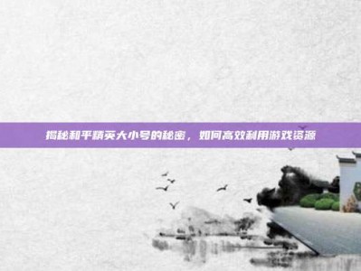 揭秘和平精英大小号的秘密，如何高效利用游戏资源