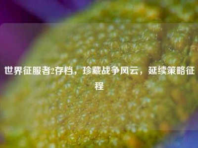 世界征服者2存档，珍藏战争风云，延续策略征程