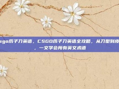 csgo爪子刀英语，CSGO爪子刀英语全攻略，从刀型到皮肤，一文学会所有英文术语
